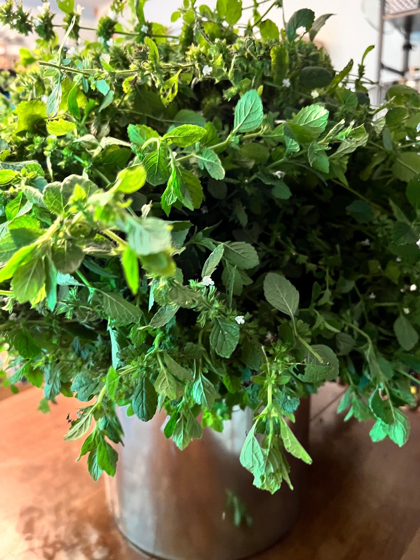 Lemon Balm Hydrosol