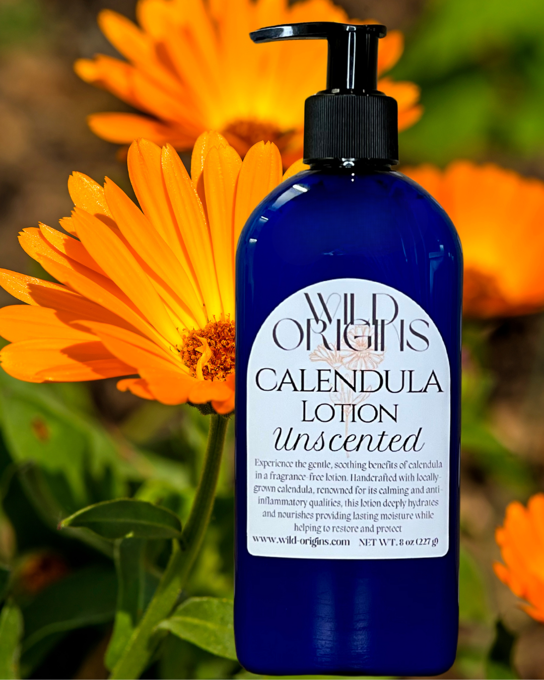 Calendula lotion, unscented