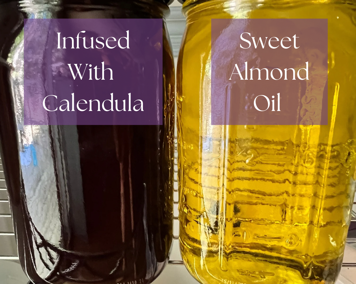 Calendula lotion, unscented